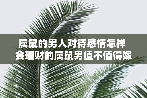 属鼠的男人对待感情怎样 会理财的属鼠男值不值得嫁呢