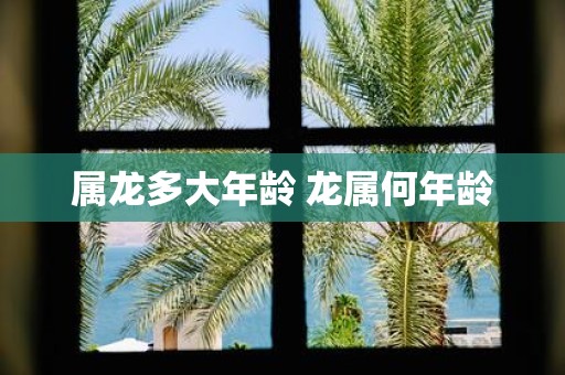 属龙多大年龄 龙属何年龄