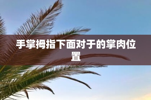手掌拇指下面对于的掌肉位置