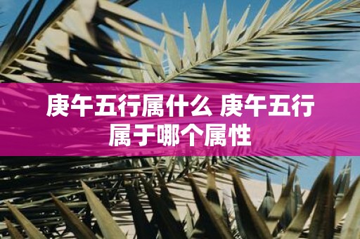 庚午五行属什么 庚午五行属于哪个属性