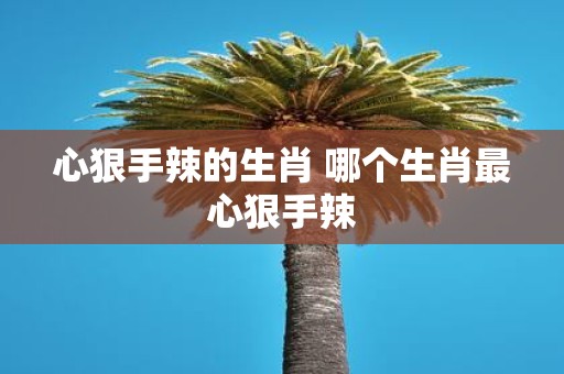 心狠手辣的生肖 哪个生肖最心狠手辣
