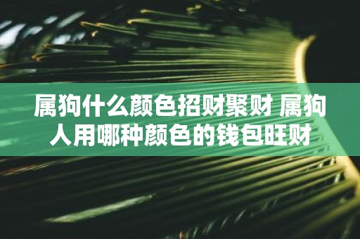 属狗什么颜色招财聚财 属狗人用哪种颜色的钱包旺财