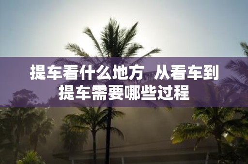 提车看什么地方 从看车到提车需要哪些过程