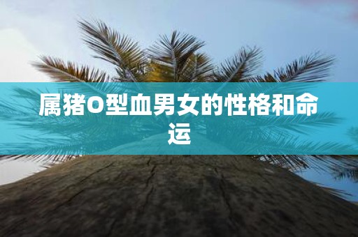 属猪O型血男女的性格和命运