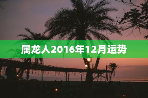 属龙人2016年12月运势