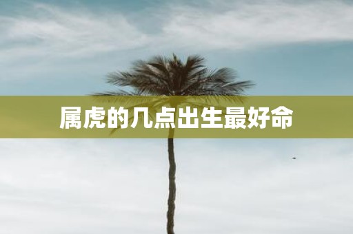 属虎的几点出生最好命