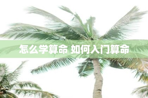 怎么学算命 如何入门算命