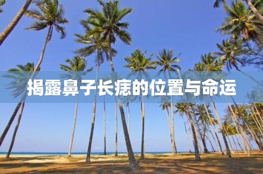 揭露鼻子长痣的位置与命运