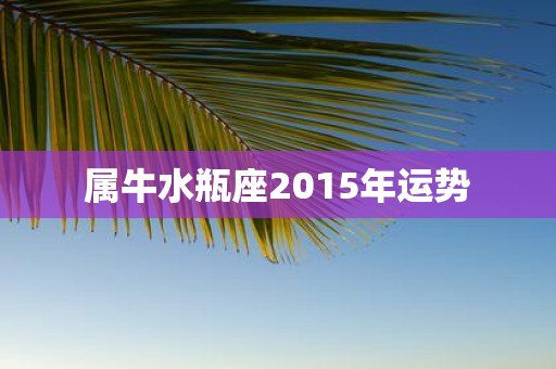 属牛水瓶座2015年运势