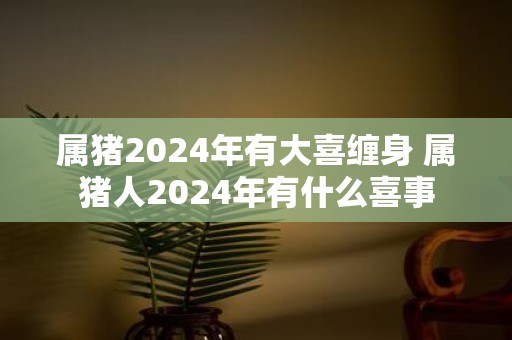 属猪2025年有大喜缠身 属猪人2025年有什么喜事