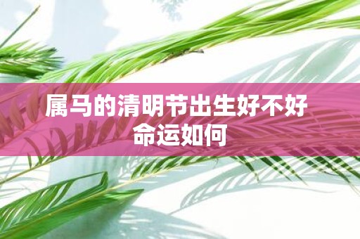 属马的清明节出生好不好 命运如何