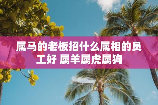 属马的老板招什么属相的员工好 属羊属虎属狗