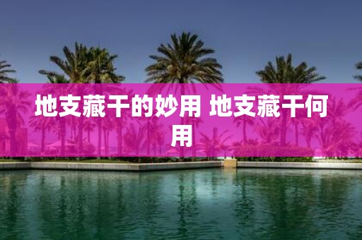 地支藏干的妙用 地支藏干何用