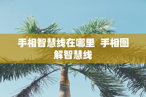 手相智慧线在哪里 手相图解智慧线