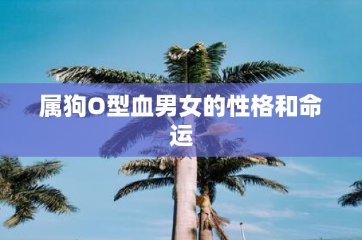 属狗O型血男女的性格和命运