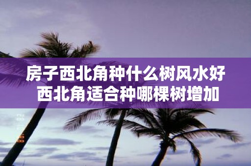 房子西北角种什么树风水好 西北角适合种哪棵树增加风水