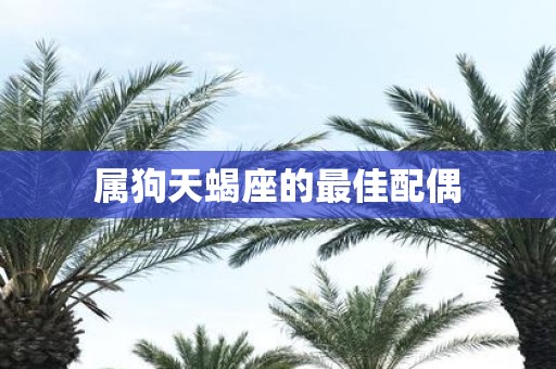 属狗天蝎座的最佳配偶