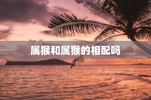 属猴和属猴的相配吗