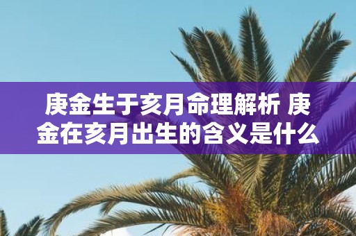 庚金生于亥月命理解析 庚金在亥月出生的含义是什么