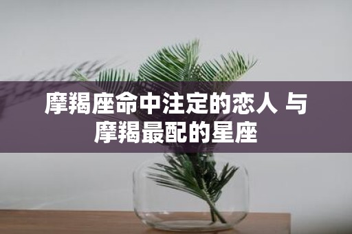 摩羯座命中注定的恋人 与摩羯最配的星座