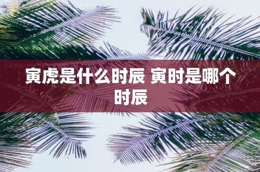 寅虎是什么时辰 寅时是哪个时辰