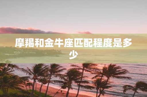 摩羯和金牛座匹配程度是多少