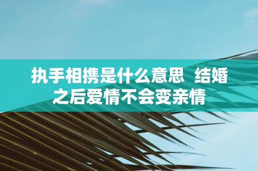 执手相携是什么意思 结婚之后爱情不会变亲情