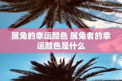 属兔的幸运颜色 属兔者的幸运颜色是什么