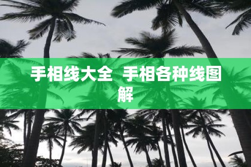 手相线大全 手相各种线图解