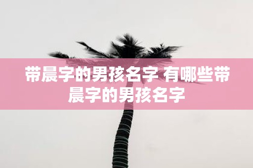 带晨字的男孩名字 有哪些带晨字的男孩名字