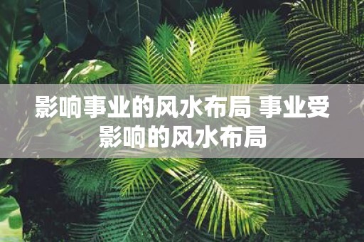 影响事业的风水布局 事业受影响的风水布局