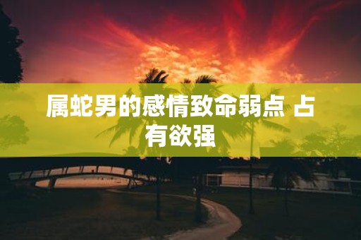 属蛇男的感情致命弱点 占有欲强