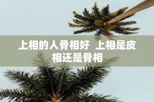 上相的人骨相好 上相是皮相还是骨相