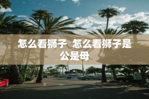 怎么看狮子 怎么看狮子是公是母