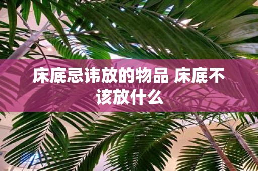 床底忌讳放的物品 床底不该放什么