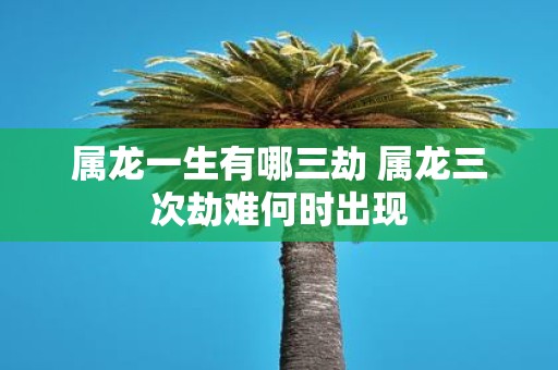 属龙一生有哪三劫 属龙三次劫难何时出现