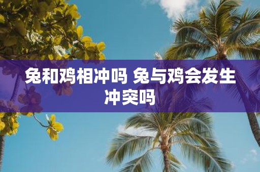 兔和鸡相冲吗 兔与鸡会发生冲突吗