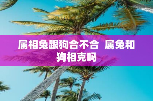 属相兔跟狗合不合 属兔和狗相克吗