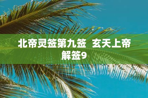 北帝灵签第九签 玄天上帝解签9