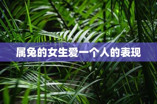 属兔的女生爱一个人的表现