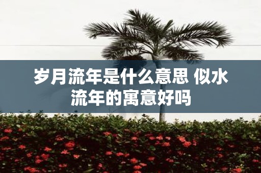 岁月流年是什么意思 似水流年的寓意好吗