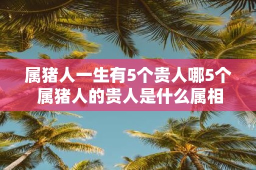 属猪人一生有5个贵人哪5个 属猪人的贵人是什么属相