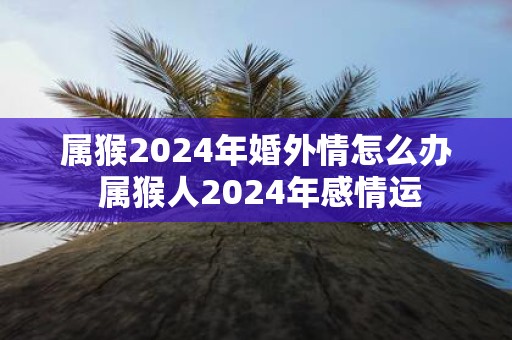 属猴2025年婚外情怎么办 属猴人2025年感情运