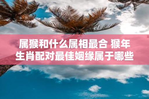 属猴和什么属相最合 猴年生肖配对最佳姻缘属于哪些属相