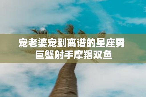 宠老婆宠到离谱的星座男 巨蟹射手摩羯双鱼