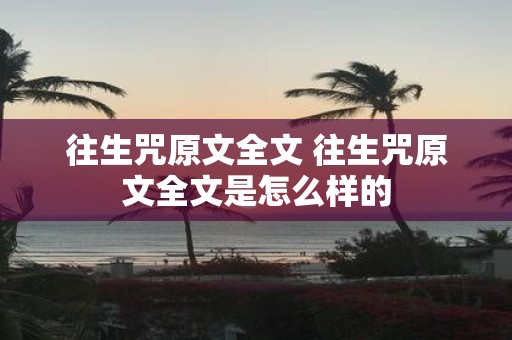 往生咒原文全文 往生咒原文全文是怎么样的