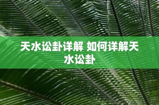 天水讼卦详解 如何详解天水讼卦