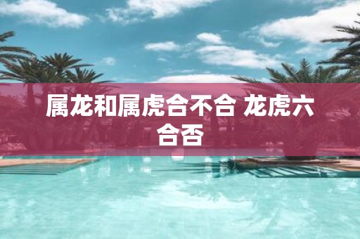 属龙和属虎合不合 龙虎六合否