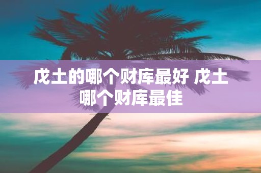 戊土的哪个财库最好 戊土哪个财库最佳