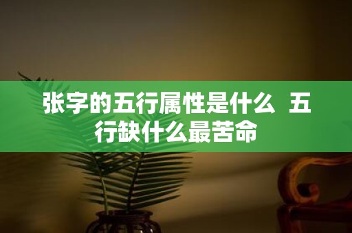 张字的五行属性是什么 五行缺什么最苦命